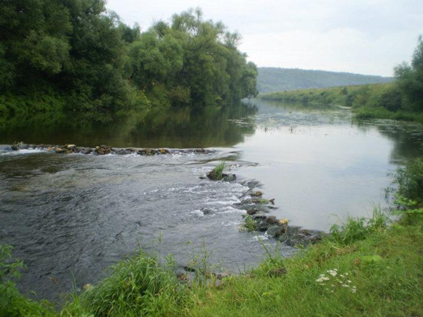 Река Осетр